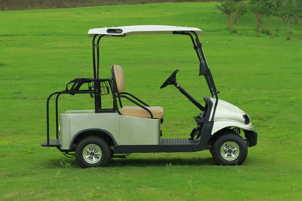 Golf cart battery water reasons
